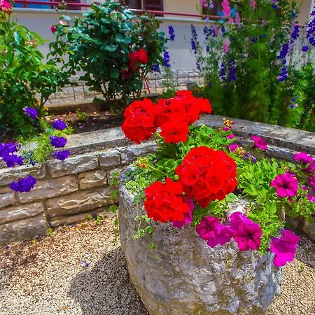 Maison d'hôtes Koseto Tar