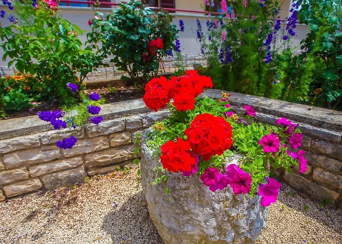 Gostinjska kuća Koseto Tar