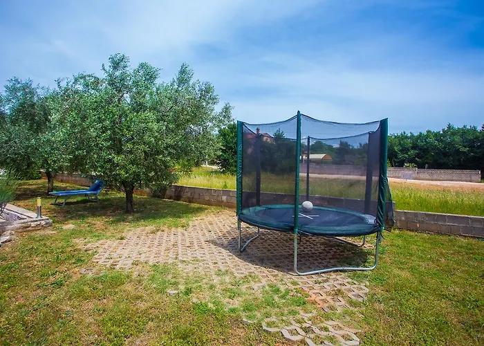 Koseto Tar Tar-Vabriga