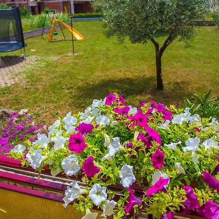 Guest house Koseto Tar Tar-Vabriga